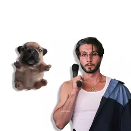 BBNO$, IRONMOUSE - 1-800, but it's I'm Pibble Wash My Belly Remix (mashup) #mashup #remix #pibble #washmybelly #bbno @bbno$ @ironmouse 