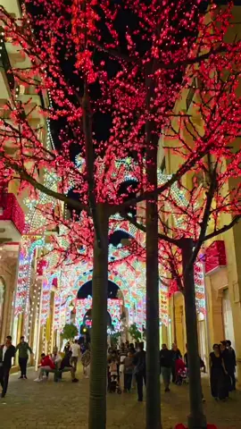 🎄✨ الكريسمس بوسط بيروت… سحر ما بينوصف! 📌 للحجوزات والانضمام لجولات مع كروب خدني معك للسياحة في لبنان 🇱🇧 📞 واتساب: 0096171078842  ⸻ #بيروت #وسط_بيروت #كريسماس_بيروت #ChristmasInBeirut #LebanonChristmas #لبنان #سياحة_لبنان #اكتشف_لبنان #Beirut #VisitLebanon #ExploreLebanon #عيد_الميلاد #اجواء_العيد #ChristmasVibes #LebanonTravel #كريسماس #خدني_معاك #XmasBeirut #لبنان_حلو#tiktokbrand 