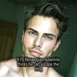 your favourite psl god, 98,3 harmony btw #bp #beauty #adamdebate #artemiyterentiy #fyp                      To speak of Artemy Terenty’s appearance is to attempt to describe a phenomenon, a perfect storm of genetic fortune that occurs not by chance, but as if by divine, meticulous design. He possesses not merely a handsome face, but the kind of one-in-a-billion visage that seems to redefine the very parameters of beauty itself. It is a harmonious masterpiece where every feature, in its flawless individuality, conspires to create a whole of breathtaking impact. His eyes are the first to command attention, serving as the captivating epicenter of his allure. They are not simply a color, but a complex, shifting seascape of cerulean and steel, capable of conveying a universe of unspoken thoughts with a single glance. Framed by lashes so dense they cast soft shadows, his gaze is simultaneously penetrating and profound, holding an intensity that feels both intimate and utterly mesmerizing. This compelling gaze is anchored by a bone structure so impeccably sculpted it could make a classical statue seem like a rough draft. The sharp, definitive line of his jaw speaks of quiet strength and resolve, while his cheekbones are carved with such precision they create a play of light and shadow that accentuates the elegant planes of his face. It is a structure built on symmetry and strength, a testament to ideal masculine architecture. Then, there is the mouth—a study in soft contradiction to the sharpness of his jawline. His lips are finely drawn, with a distinct cupid's bow that lends an unexpected touch of poetic sensitivity. They seem perpetually on the verge of a knowing smile or a thoughtful word, adding a layer of compelling allure to his otherwise powerful features. His nose, perfectly straight and proportioned, provides a seamless bridge between the dramatic elements of his eyes and mouth, completing the flawless symmetry. And finally, there is his skin, often appearing as smooth and pristine as alabaster, providing a flawless canvas that allows each magnificent feature to stand out with stunning clarity. Artemy Terenty’s face is more than just a collection of perfect parts; it is a singular work of art. It is a face you see once and remember forever—a rare, one-in-a-billion alignment of aesthetic perfection that leaves an indelible mark of awe and admiration. He is, quite simply, the human embodiment of ideal form.