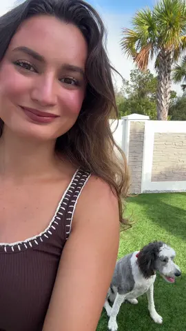 Don’t miss your chance to shop our biggest sale of the year!! ‼️ #blackfriday #blackfridaydeals #amazonfinds #doggear #dogmusthaves 