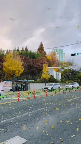 đặc sản Hàn Quốc😉 #xuhuong #duhochanquoc #inje