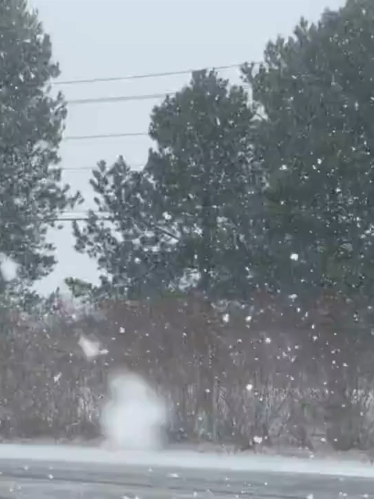 ❄ FLUFFY: Parts of Upstate New York have experienced winter weather conditions today, as some areas are blanketed by snow today #upstateny #newyork #snow #wintervibes #FoxWeather