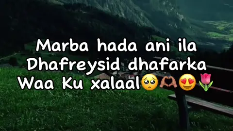 12k Ada ka hary😭💕#jawi_bila🌊❤️🌴 #jawiga_jawiyada_eryaday🌴❤️#mohamed🤤💦 