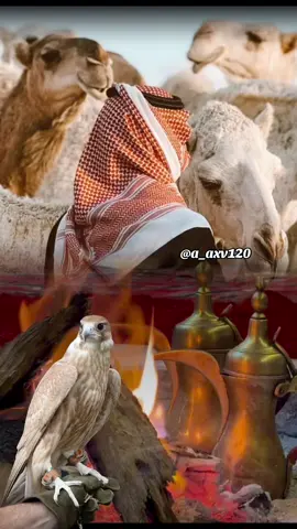 #أكسبلور_شعر_حكم_خواطر 