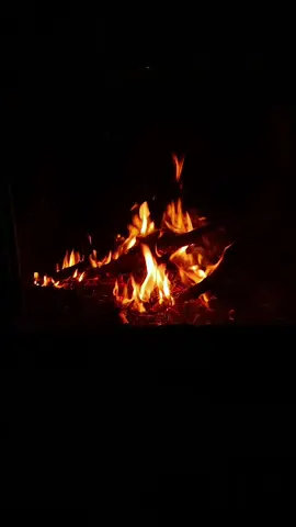 دخان صاير موكلب الله وكبر