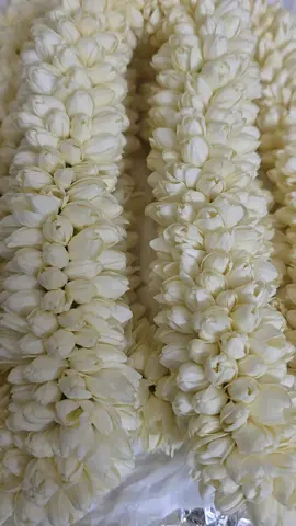 #ابوعبريش #الجمال #الفاتن #🌺🌺 