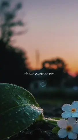 فَنَأْمُرُ بِالْمَعْرُوفِ وَنَنْهَى عَنِ الْمُنْكَرِ