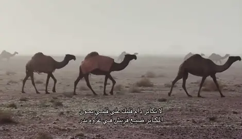 #اكسبلورexplore #الشعب_الصيني_ماله_حل😂😂 #شعر #قصايد #fypシ゚ 