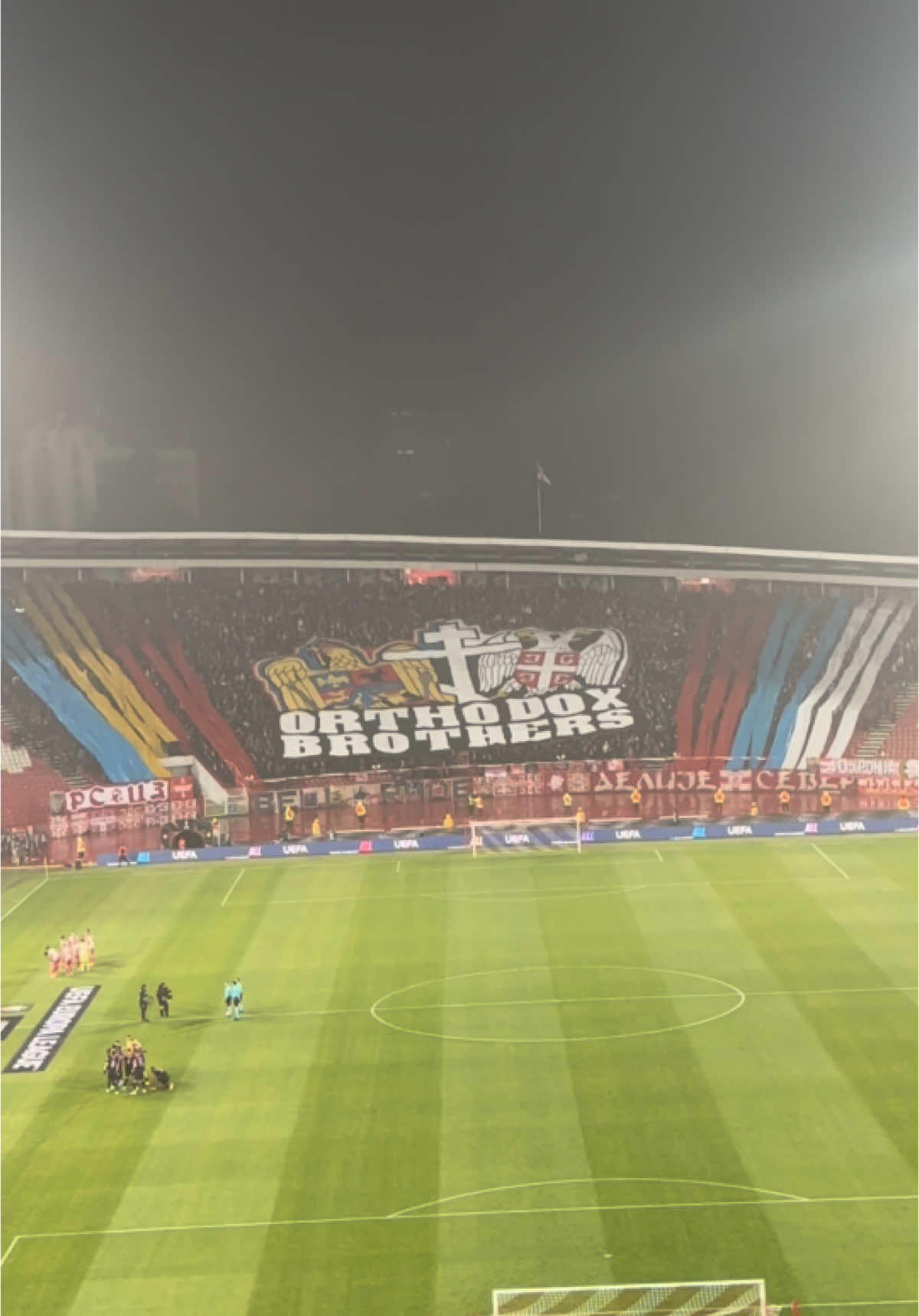 Ortodox brothers 🔴⚪️ #crvenazvezda #delije 