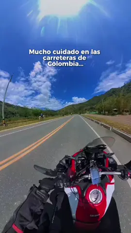 En la vía, te has encontrado más vacas o burros? #humor #colombia #ride #moto 