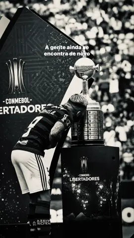 #libertadores #flamengo #palmeiras #final #gabigol 