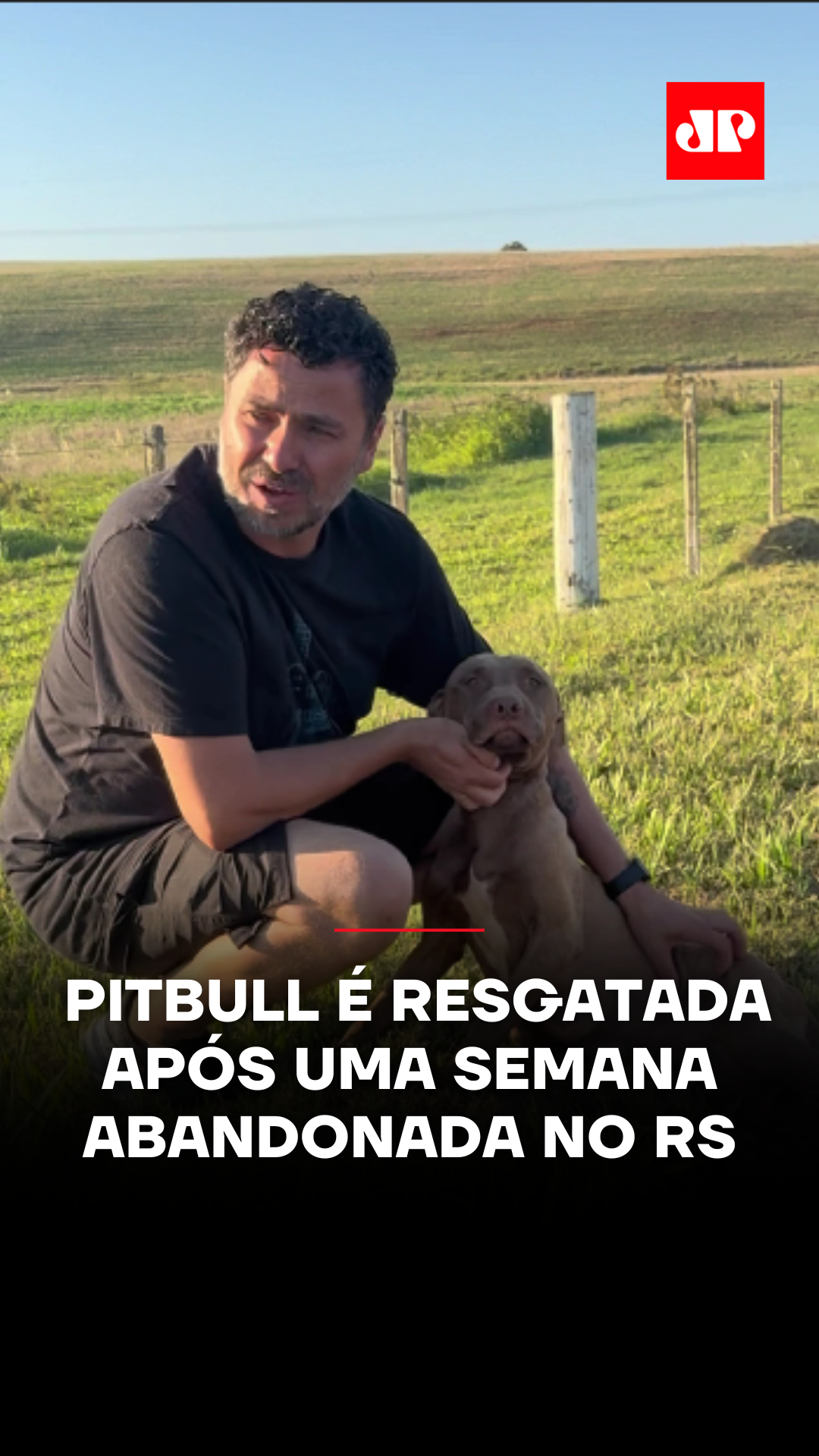 Uma pitbull foi resgatada pelo protetor Marcio Lacerda depois de ser encontrada sozinha e desnutrida em uma estrada rural no interior do Rio Grande do Sul. Moradores contaram que ela estava no local havia cerca de uma semana e apresentava sinais de extrema magreza. Marcio suspeitou que a cadela tivesse parido recentemente, já que ainda estava com as mamas cheias. Mesmo assim, nenhuma cria foi localizada após buscas na região. O protetor levou a pitbull para exames e castração, além de iniciar cuidados veterinários imediatos. Depois do atendimento, a cadela se recuperou e já foi adotada. Segundo Marcio, ela reagiu com carinho desde o primeiro contato e rapidamente se adaptou ao novo lar. 🎥 Reprodução: @myhoodbr | @protetormarciors 📺 Confira na JP News e Panflix #Brasil #Notícia #Animais #Pitbull #Abandono #Resgate