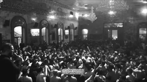 #محمدباقر #الذاكرسيدمهدي #ياحسين #وصلوني10k 