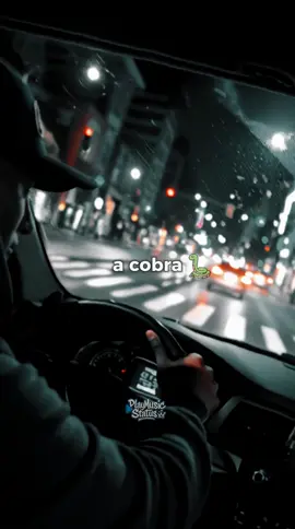 A saga continua 🎧 #rap #status #patetacodigo43 #lyricsvideo 