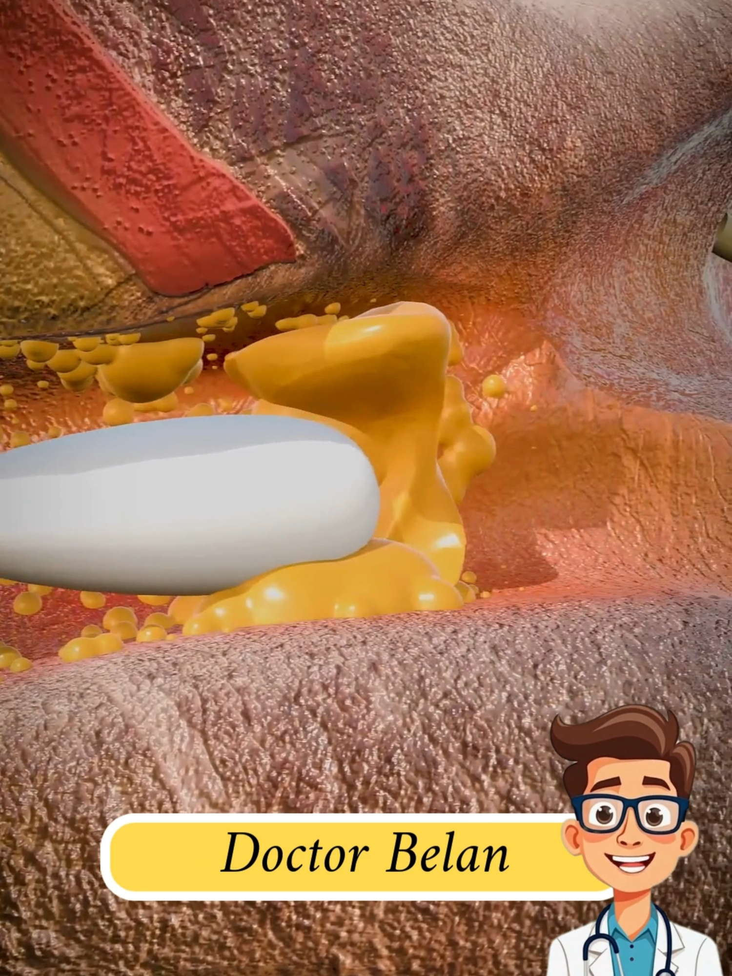 Faire pousser une oreille dans le bras 😨