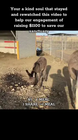 $5 = 1 MEAL. 1 SHARE = 1 MEAL #fyp #donkeyrescue #donkey 