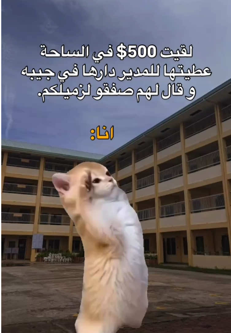 🙂💔. #fyp #viral #explore #الشعب_الصيني_ماله_حل😂😂 #مالي_خلق_احط_هاشتاقات #foryou #memes #منشن_للي_تحبه #طاقيه_طاقيها😁❤️💍 #حقيقة #ميمز_العرب 
