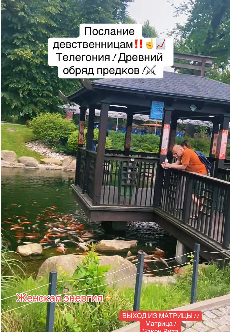 #половоевоспитание #энергия #мужчинаиженщина #осознанность #эзотерика 