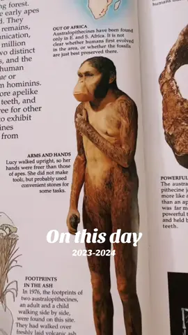 #кубань #норвегия #рабсияне 