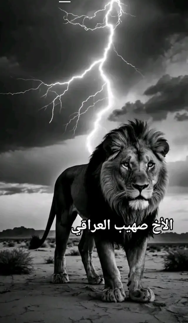 الشام ارض كل المسلمين #صهيب_العراقي