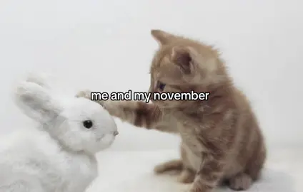 #elbruso #хочурек #a #fyp #хочуврекомендации 