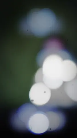 اذكروني ان في ذكري منفعه. السلام على من أحيا الجمع : #tiktok #السيد_الشهيد #مقتدىالصدر #مقتدى_الصدرأعزه_الله #foryou 