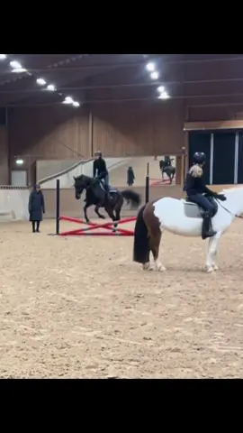 Fick inte någon video på de högre hindrena men aja ja e jätte glad med dagens träning #lkpg #älskarminavänner #equestrian #felix 