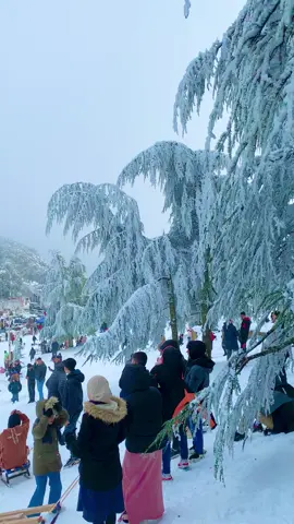 Snow In algeria ❄️ #snow #algeria #dz #chrea_blida09 #chrea #view #pourtoii #fyp #travel #visitalgeria #snowfalls 