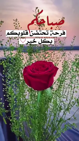 #في هذا اليوم 