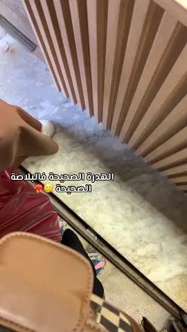 #fyppppppppppppppppppppppp 