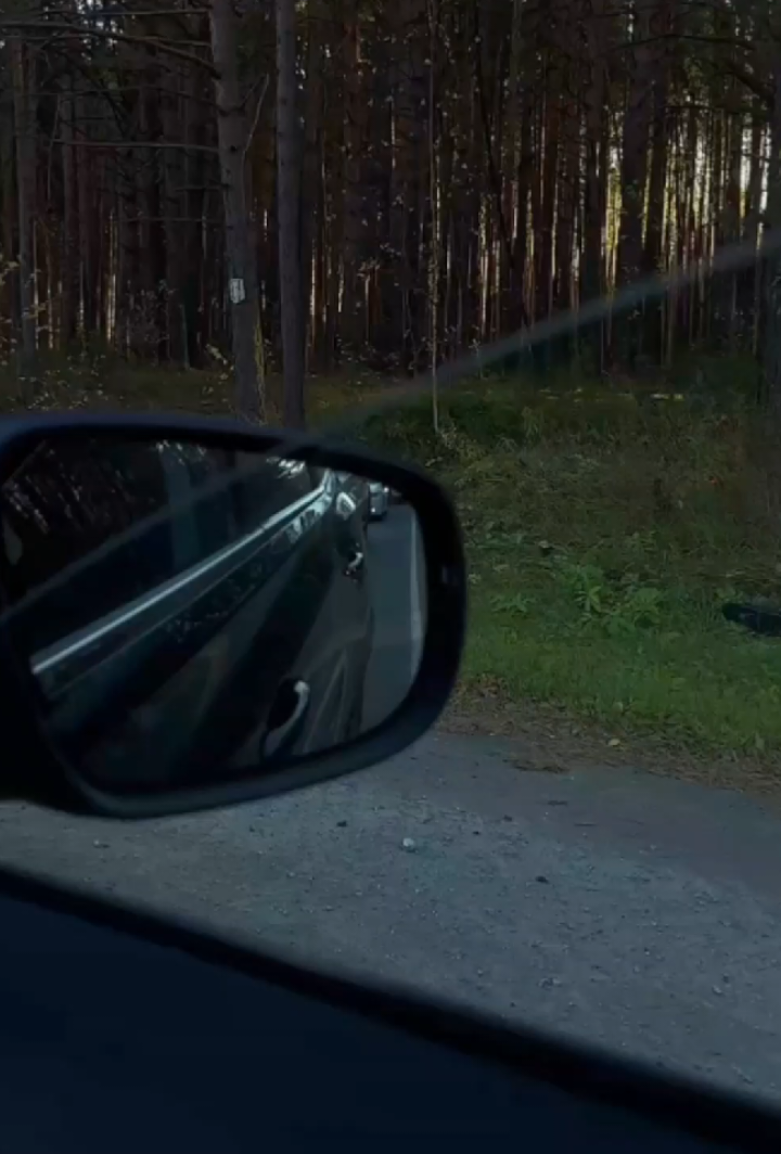 intaa is lahaa xal raadi, mid baa mobile & dahab ukeenay😭💔 #caarif🤴🏽🌴 #fypシ #foryoupage #somalitiktok #viralvideo 