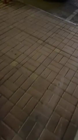 ليش تسرقو لوحتي 💔💔.                                                                      #تبوك #مالي_خلق_احط_هاشتاقات #الشعب_الصيني_ماله_حل😂😂 #parati 