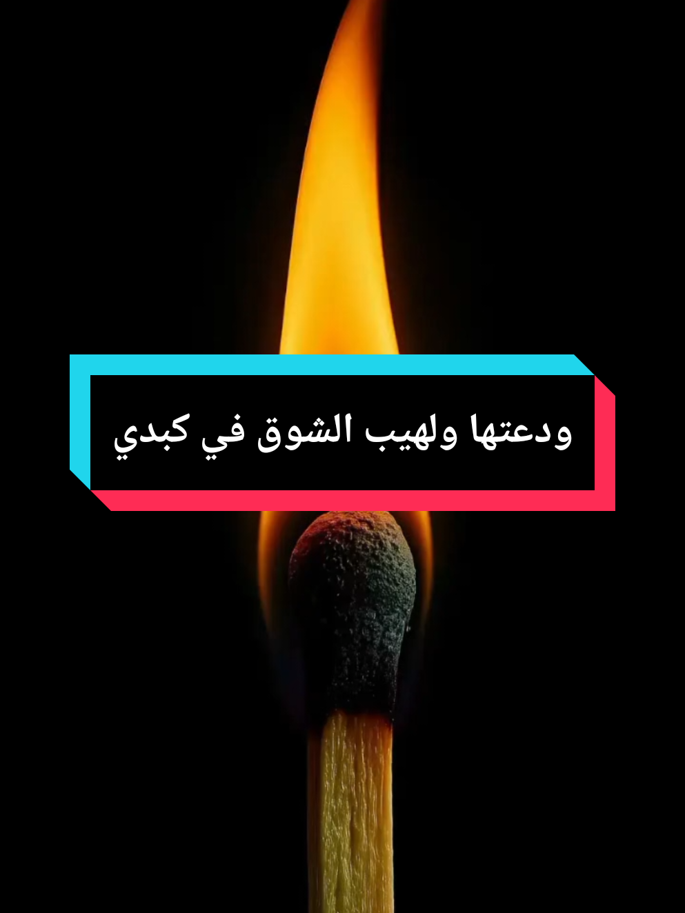 ودعتها وفراق الشوق في كبدي شعر غزل وفصحى  #creatorsearchinsights #شعر #قصائد #شعراء_وذواقين_الشعر_الشعبي🎸 #viralvideo 