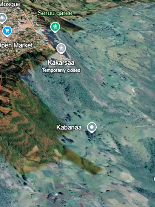 #oromotiktok #oromotiktok❤️💚❤️ethiopiantiktok #fyp #viralvideos #virale