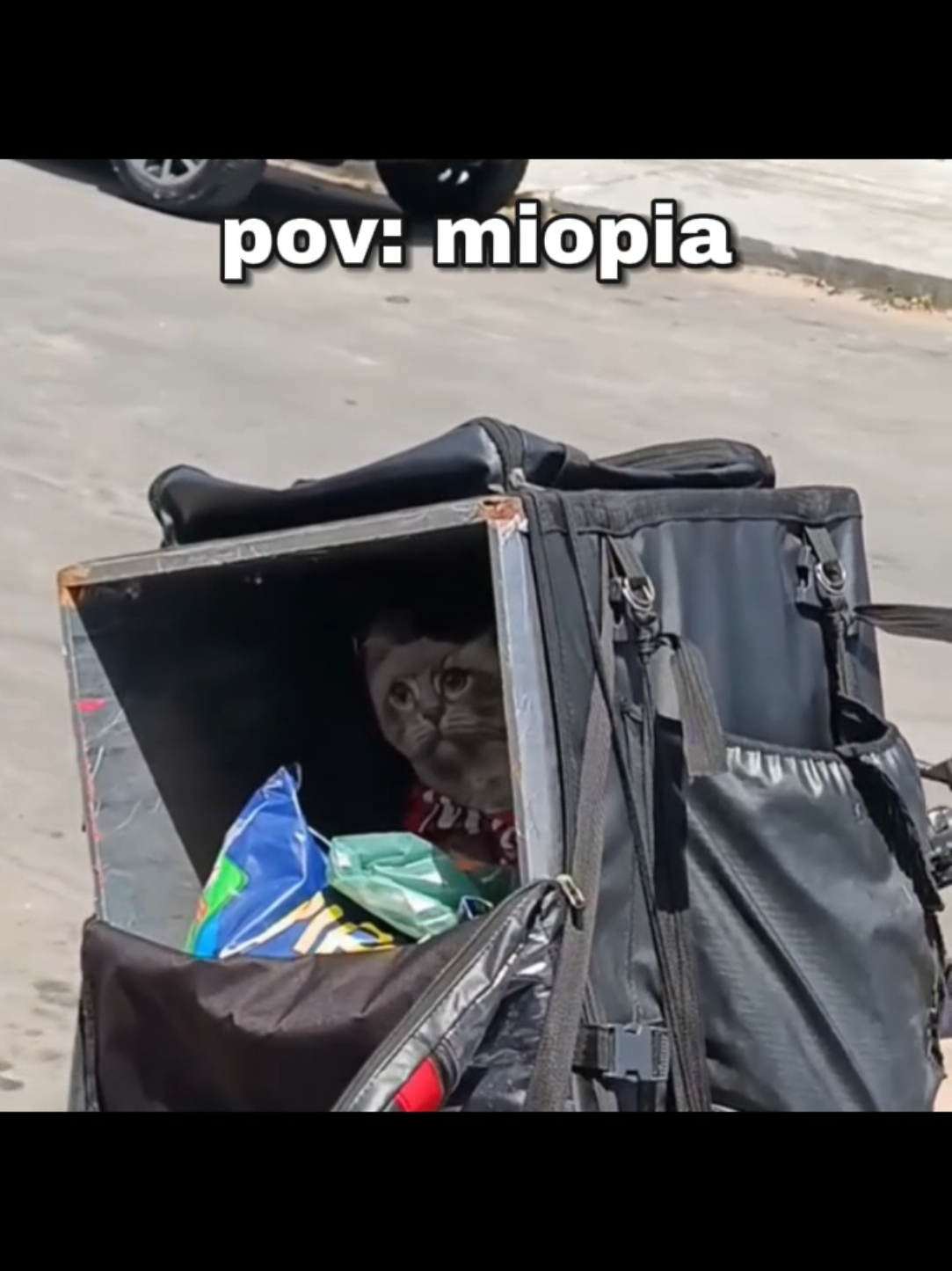 miopia #memes #perolasbrasileiras #flp #miopia 