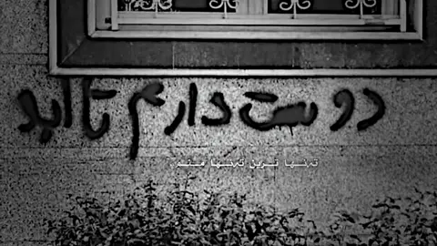 دوست دارم تا ابد#fidayy13 #rasti_lak #tiktokviral #fyppppppppppppppppppppppp #kalar 