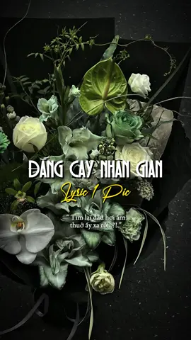 Người lạc giữa đêm sâu nghe sương rơi cuối phố.. #chang92_ #capcut #capcutpioneer #pioneertemplate #dangcaynhangian @𝙎𝙖𝙙_🖤 @𝙲𝚑𝚊𝚗𝚐. 