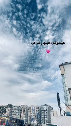 💗😔#اليسا #هيلف_ويرجعلي_اليسا #fyyyyyyyyyyyyyyyy #fyp #foryou 