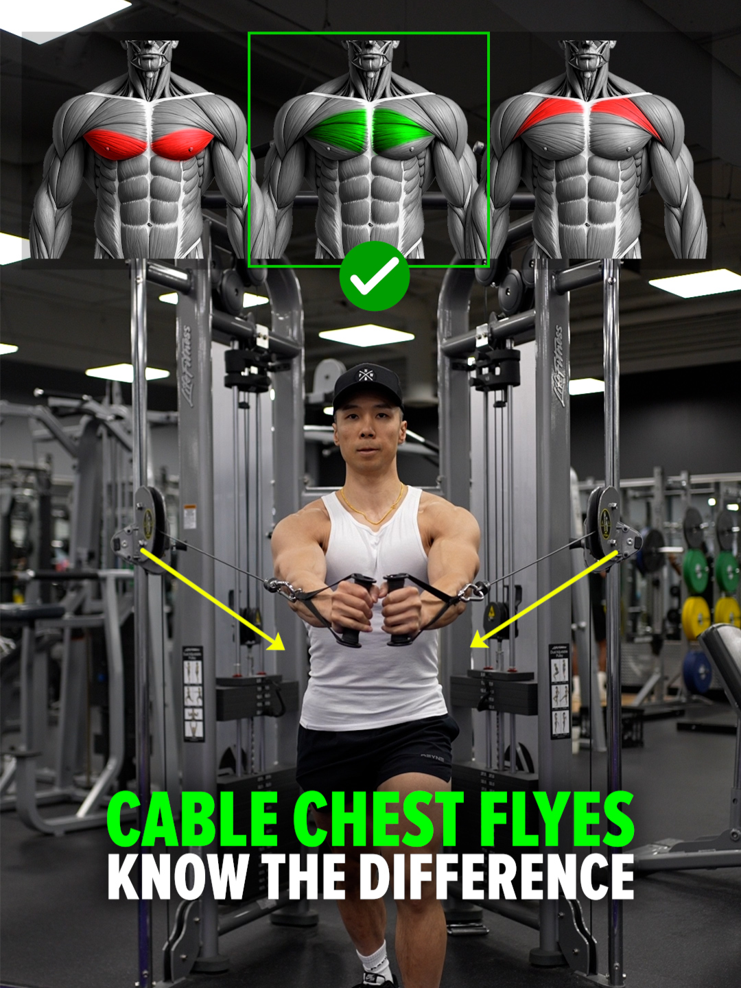 Cable Chest Flyes – Know the Difference!  • High-to-Low Flyes: Angle the cables from high to low to put more tension on the lower chest fibers. • Chest-Height Flyes: Set the pulleys at mid-chest height to target the middle chest fibers. • Low-to-High Flyes: Bring the cables upward from low to high to emphasize the upper chest fibers.   Size & Shred Training program 👉🏻 deltabolic.com (link in bio) #chestfly