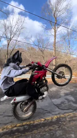 #furry #dirtbike #wheelie