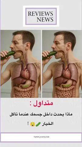 ماذا يحدث داخل جسمك عندما تأكل الخيار 🥒😧! #fyp #trending #viral #explore #reels 