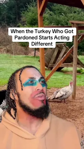 Survived Thanksgiving and instantly started wildin #fypシ #fyp #dank #darkhumor #comedyskit 