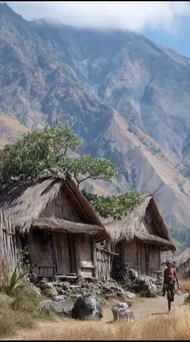 #creatorsearchinsights  Gumi Sasak Tempoe doeloe ..♥️ Dari puncak Rinjani hingga birunya Senggigi, Gumi Sasak memancar pesona. Sasak: tanah para kekasih, tempat adat dan alam menyatu indah dalam harmoni tak bertepi #lereng  #gunung  #rinjani  #lombok 