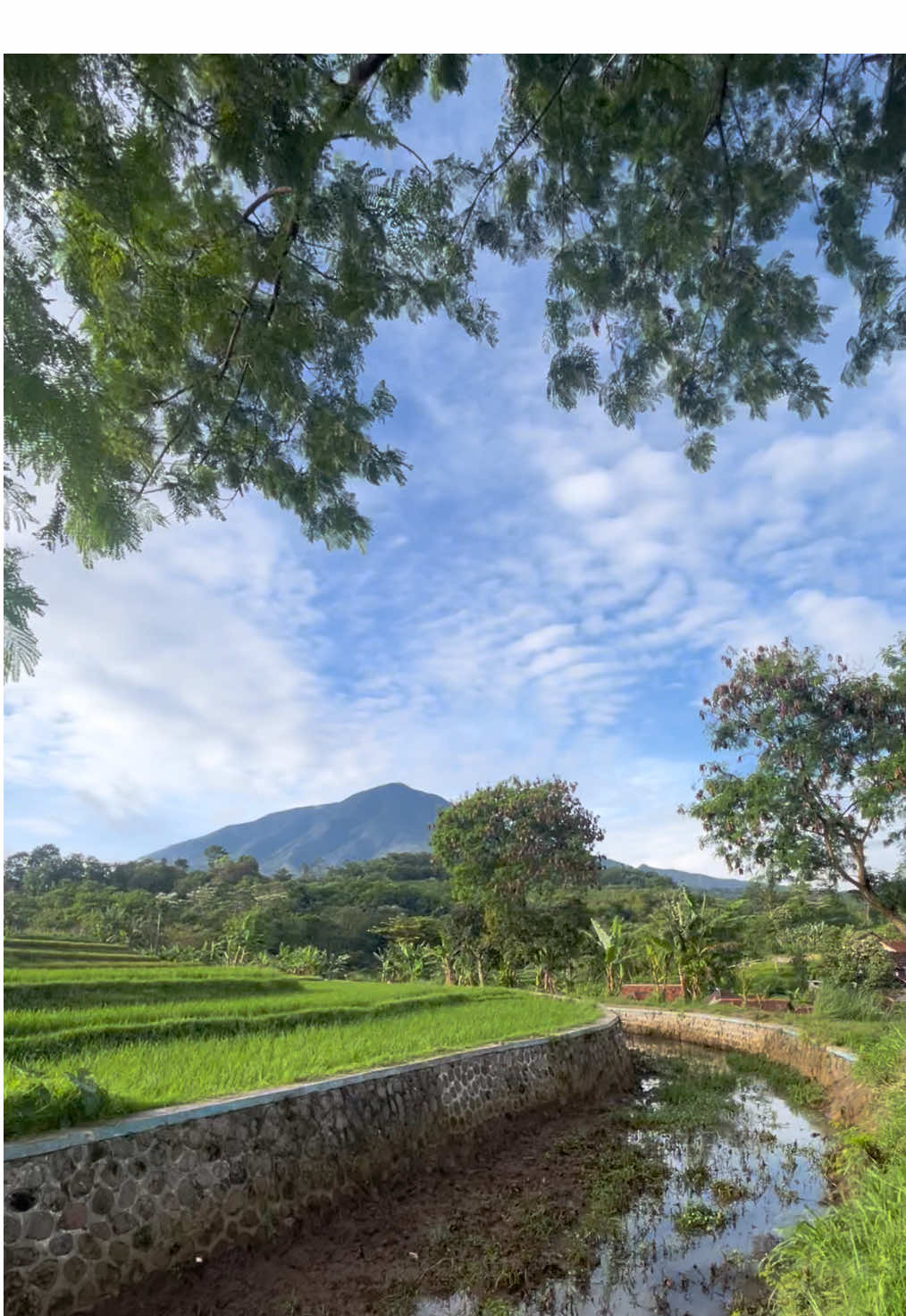 😇 #cikuray #garutpride🔥 #fyp 