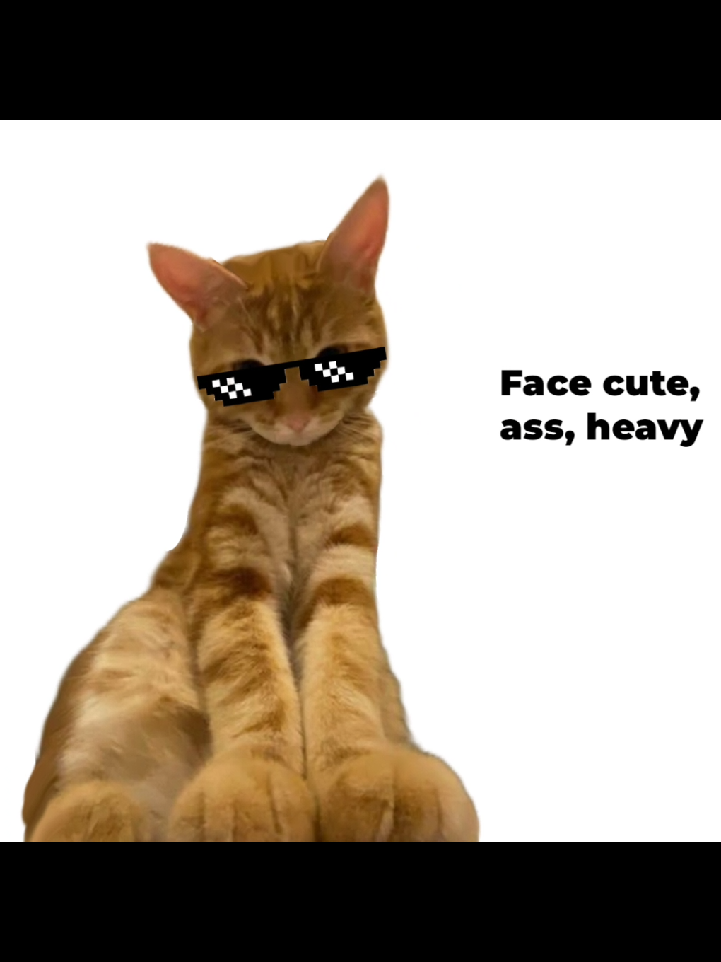 😼 #ibispaint #cat #animation #fyp #edit 