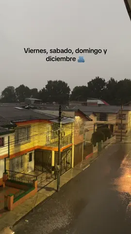 Se nos metió diciembre muchachos 🫠 #colombia🇨🇴 #diciembre #navidad #llorandosefue 