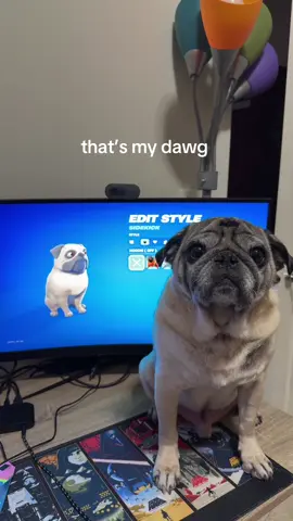 odie icon skin 🐾 #fortnite #sidekick #fortniteskin #fortniteclip #fortnitememes 