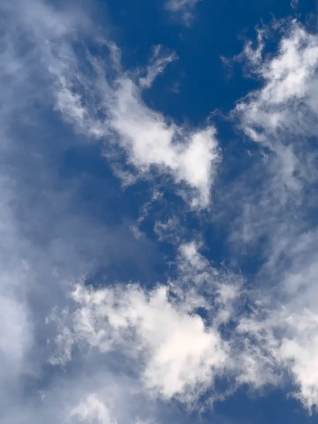 Mentahan #fyp #1080p60fps #hd60fps #mentahanvideo #berandatiktok 