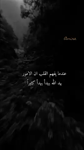 #اميرة🖤🖤👑 #fyp 