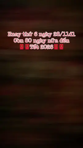 Khúc giao mùa là báo hiệu mùa xuân đang về 🌸🌸🧧🧧 #nhachaymoingay #tet #tet2026 #capcut #xh 